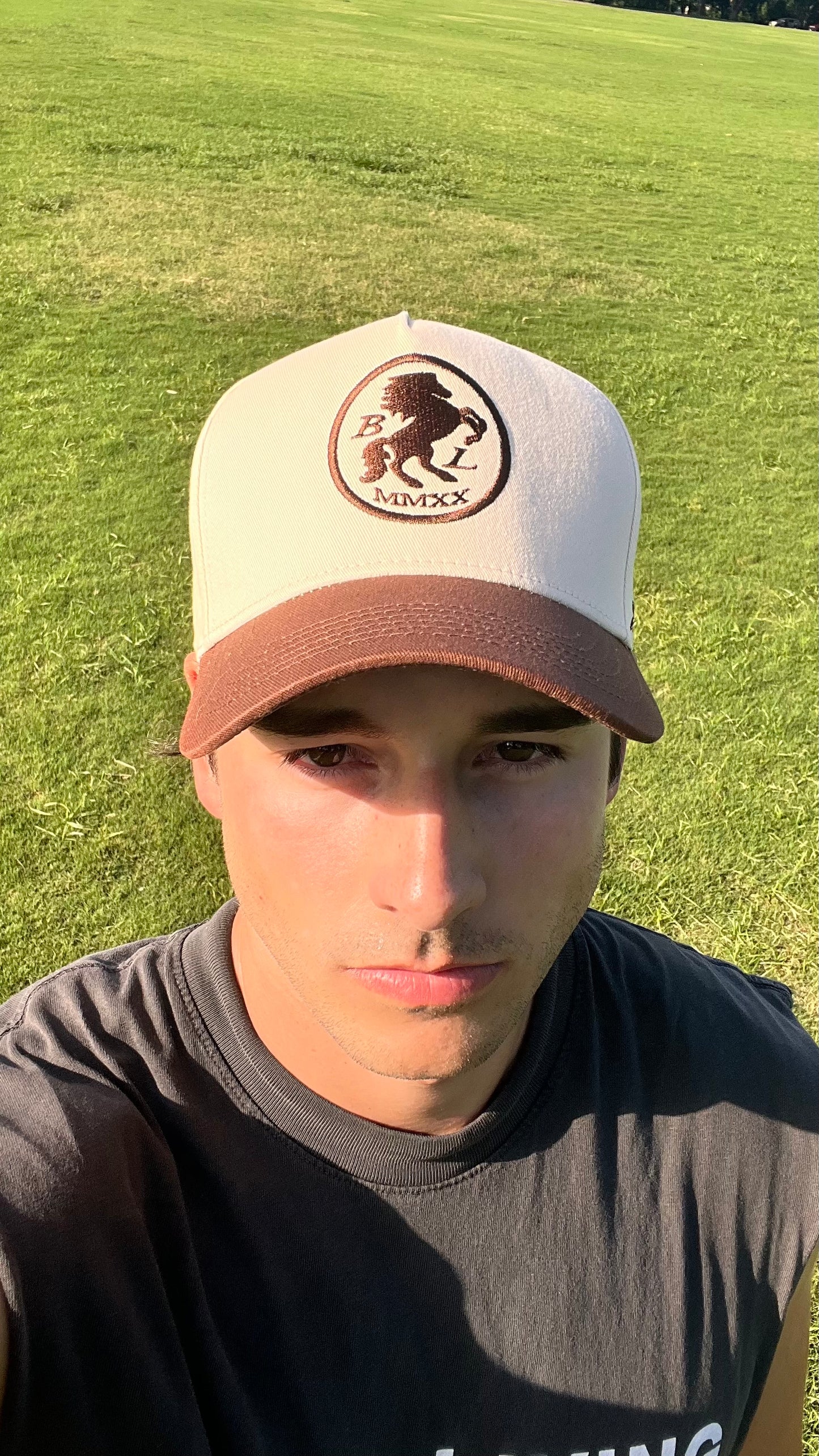 Stallion Series | Brown & Natural